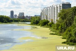 Пятно появилось на реке Миасс возле Ленинградского моста (архивное фото) 