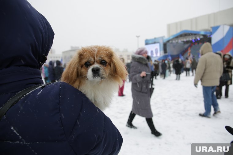 В ПВР университета созданы условия проживания для жителей приграничных районов и их питомцев 