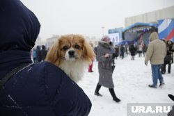 В ПВР университета созданы условия проживания для жителей приграничных районов и их питомцев 