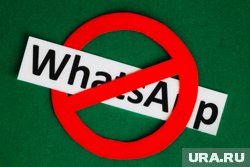 Школы переходят с WhatsApp на «Сферум»