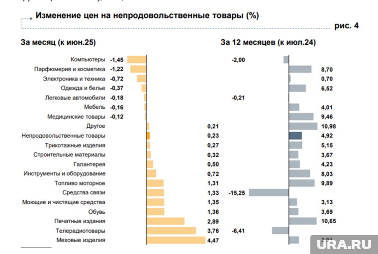 Цены на непродовольственные товары в Курганской области за июль