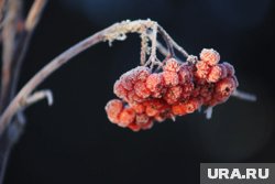 В Курганской области резко похолодает