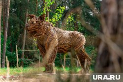 В Черняевском лесу живут не только деревянные звери