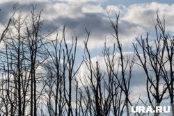 Что можно отметить 15 сентября 2025 года