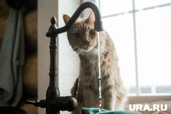 Курганцев предупредили об отключении воды