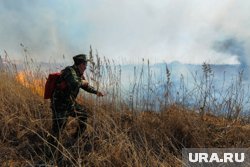 Арендаторов лесных участков привлекут к тушениям пожаров