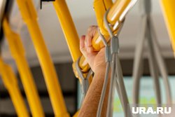 Популярного героя заметили в автобусе пермского перевозчика ИП Миронова