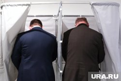 Голосовать на ЕДГ могут граждане России старше 18 лет