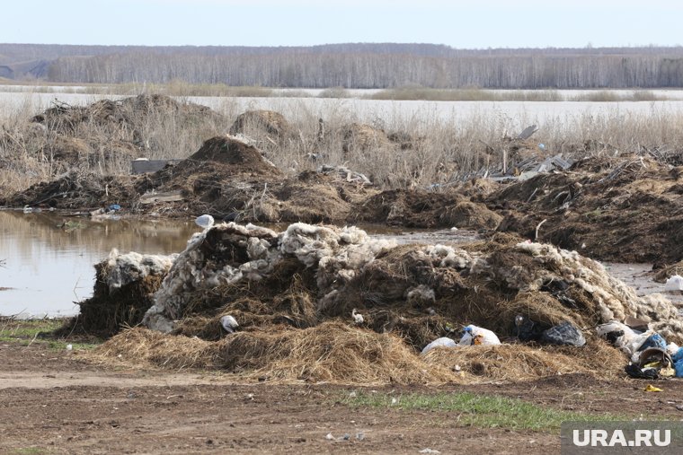 Рядом с трассой Нижневартовска обнаружили свалку трупов животных