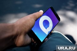 Курганским чиновникам поручено перейти на российский мессенджер Max до середины августа