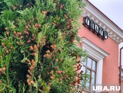 Сказку о посикунчиках могут поставить в Пермском театре кукол