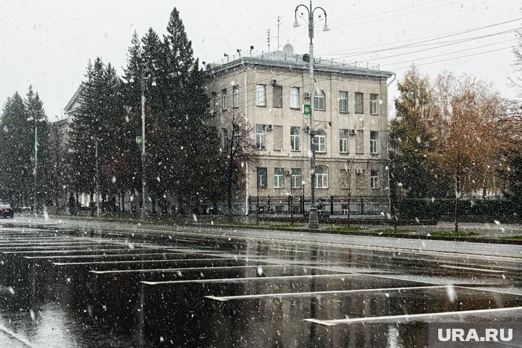 Синоптики прогнозируют, что первый снег в Кургане выпадет 20 октября