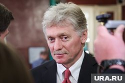 Песков подчеркнул, что Путин руководствуется гуманитарными соображениями