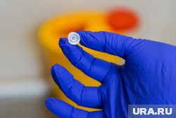 Осмотр и ПЦР-исследования показали, что заболевших нет