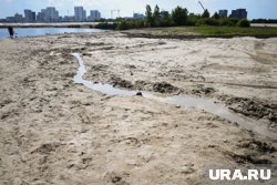 Атака произошла на пляже «Городской»