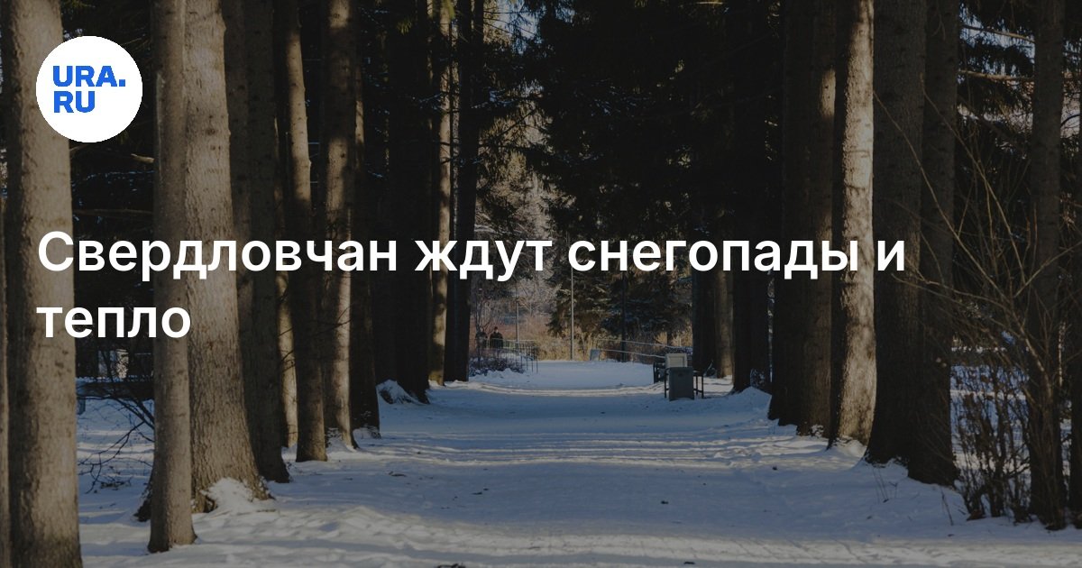 Погода в Екатеринбурге и Свердловской области 15 ноября 2024 года