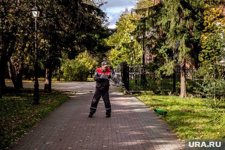 Жители Салехарда заметили дворника, который подметал листья веткой дерева