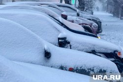 Днем возможен небольшой снег и мокрый снег