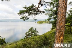 Участки подорожают в связи с развитием инфраструктуры и коммуникаций