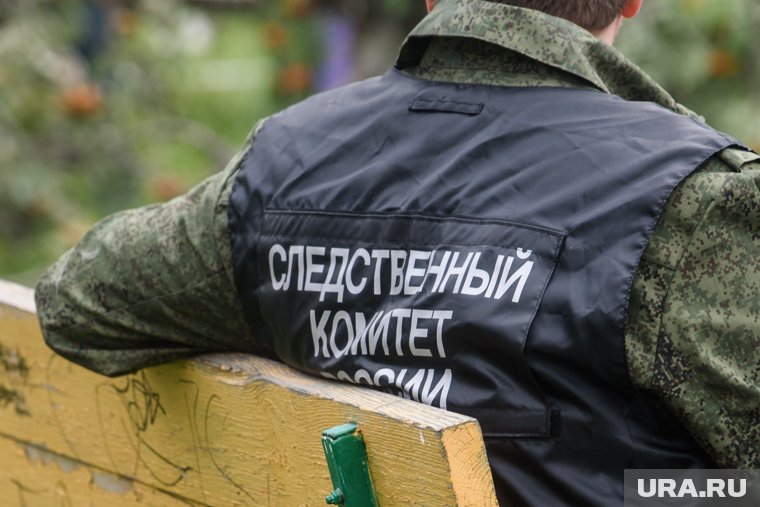 Следственный Комитет показал, как выглядит место нападения льва на директора парка «Тайган» Олега Зубкова