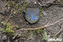 При освобождении Константинополя в ДНР ВС РФ обнаружили неожиданного наемника