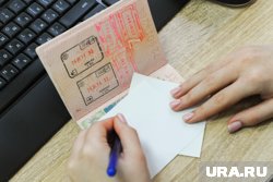 Экономист предложил части аэропортов отказаться от международного статуса