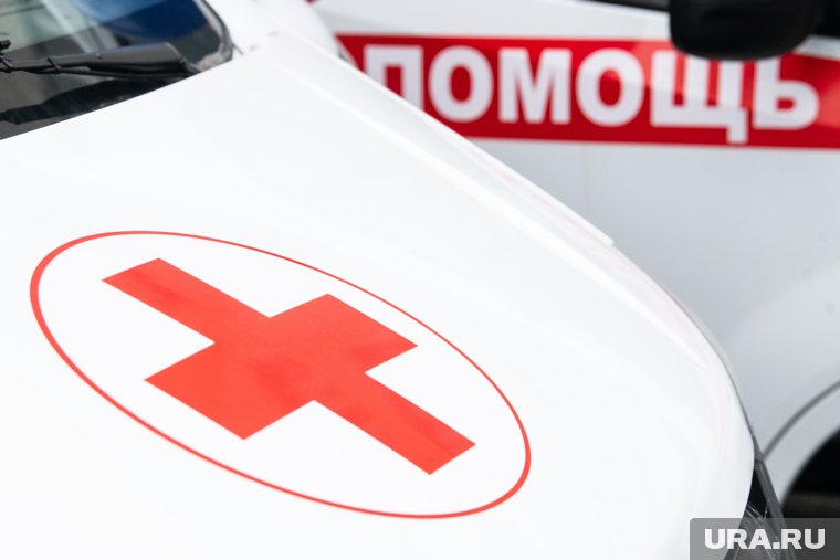 В Брянской области на поезд обрушился автомобильный мост