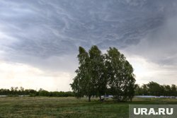 В Пермском крае ожидаются комфортные дневные температуры при сильном ветре