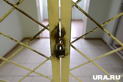 Депутат Леонов назвал оскорбительным для пациентов талисман психбольницы Кукуху