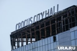 Незаконно зарегистрированный гражданин участвовал в теракте в «Крокусе»