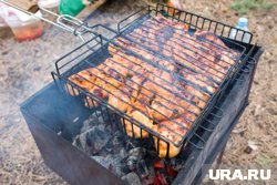 На природный отдых нужно взять аптечку с жаропонижающими и антигистаминными препаратами