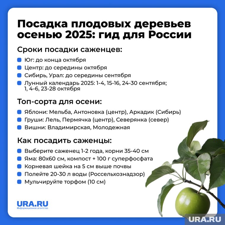 Молодые деревца, высаженные осенью, ранней весной начинают быстро развиваться