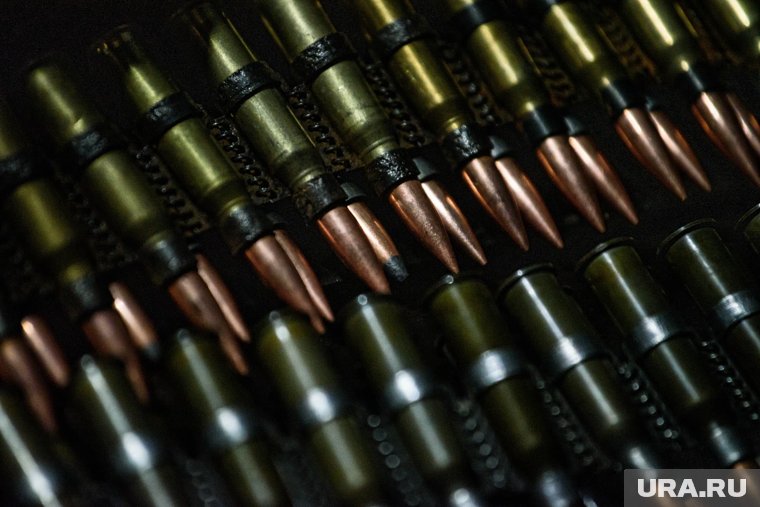 Украина выделила Rheinmetall землю для строительства завода