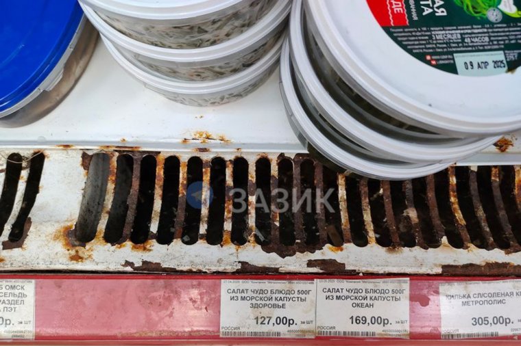 За холодильниками с продуктами питания живут птицы. Все вокруг в их помете и перьях