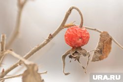 1 октября богат на праздники и памятные даты