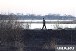 Полицейские узнали, как к ним относятся жители