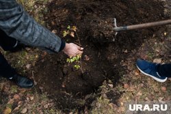 На высадку пришло более 1000 тюменцев