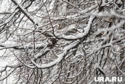 По итогу может выпасть 30 сантиметров снега на юге и востоке от краевой столицы.