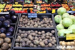 Миронов назвал ситуацию с картофелем в РФ - абсолютным позором