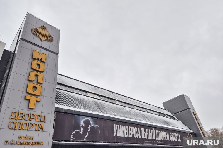 Появились данные о выручке УДС «Молот» за 2024 год