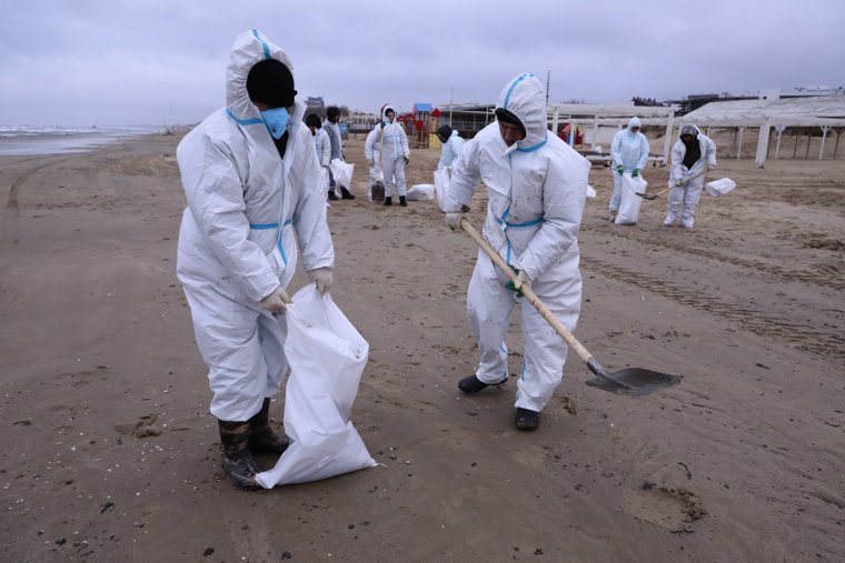 Волонтеры помогали убирать от мазута пляжи на Черном море