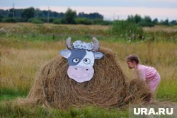 Скульптуры из сена строят в регионе по поручению правительства