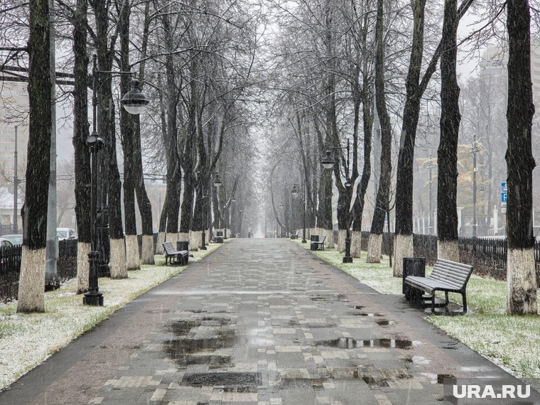 Погода на Крещение в Москве будет теплой, как в апреле