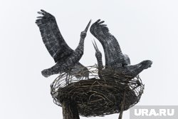 Что можно отметить 20 августа 2025 года
