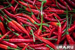 Семена перца лучше прорастить до посадки в землю