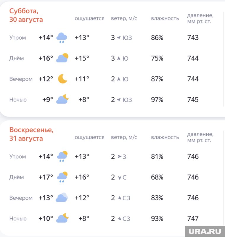 Сервис Яндекс.Погода прогнозирует небольшой дождь на День города в Ноябрьске  