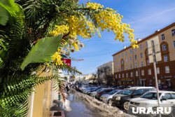 Пик тепла ожидается на следующей неделе