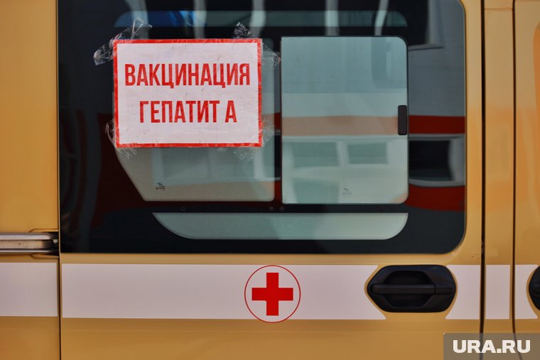 Главный способ защиты — постоянная профилактика