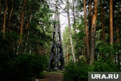Тело погибшей было найдено в лесу