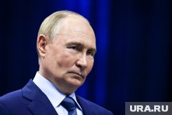 Путин заявил, что ВС РФ достигли успехов по всей линии фронта